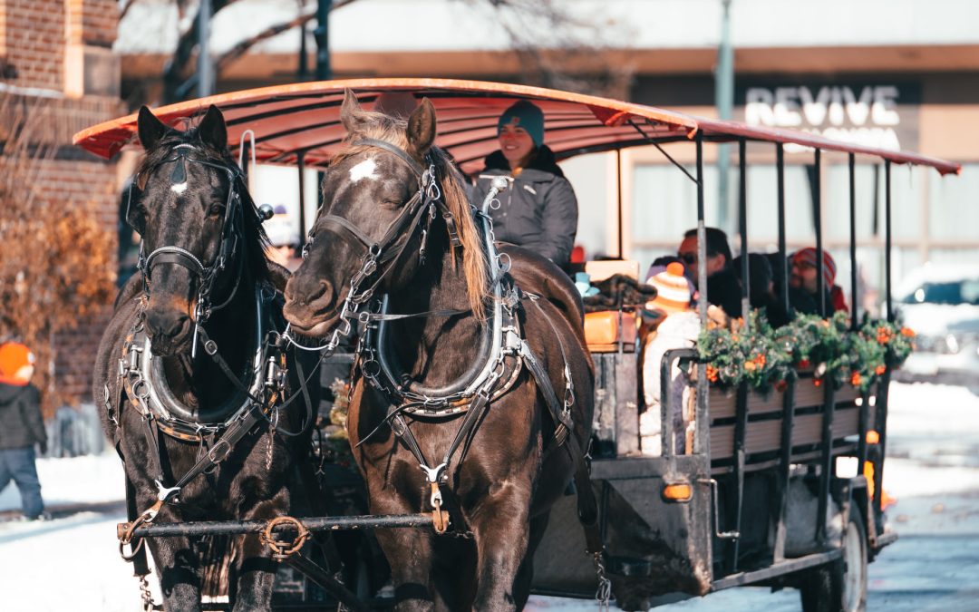 Winterfest – Horse-drawn Carriage Rides